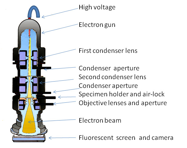 The Principle Of Transmission Electron Microscope (TEM) - Analyzetest.com