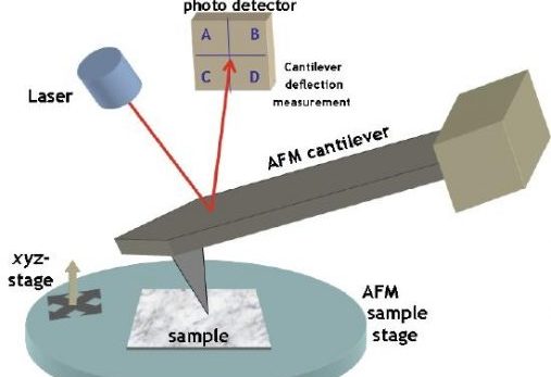 A to Z of Atomic force microscopy (AFM)